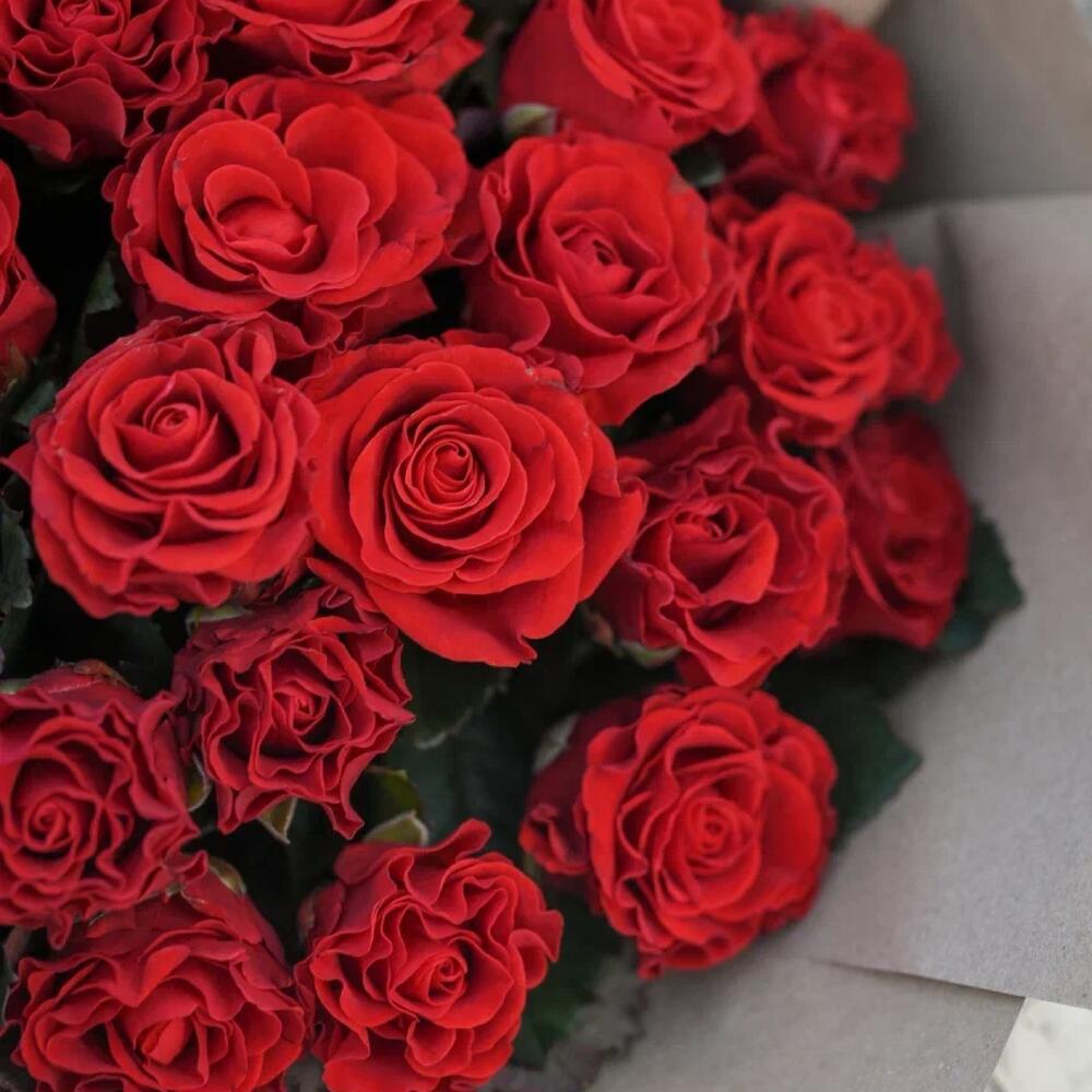 https://content2.flowwow-images.com/data/flowers/1000x1000/94/1700576752_15727294.jpg